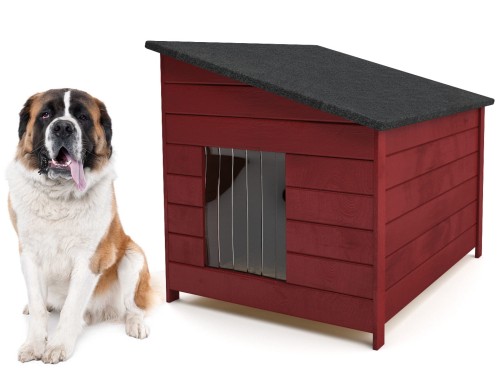 XXL Z PSEM MAHON.jpg